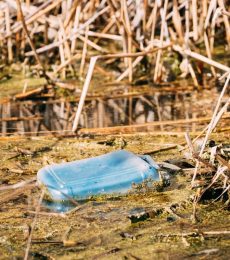 old-plastic-canister-floats-in-water-of-swamp-or-QZFL7BG.jpg